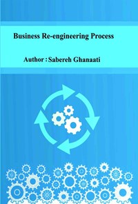 تصویر جلد کتاب Business Re-engineering Process