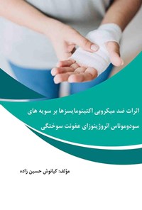 تصویر جلد کتاب اثرات ضدمیکروبی اکتینومایسزها بر سویه های سودوموناس ائروژینوزای عفونت سوختگی