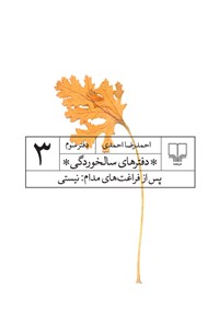 کتاب پس از فراغت های مدام، نیستی اثر احمدرضا احمدی