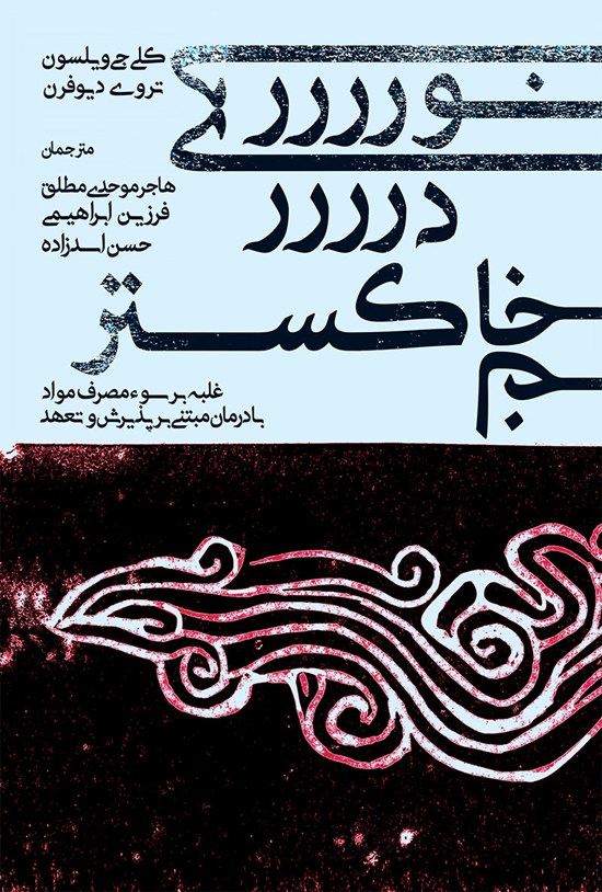 تصویر جلد کتاب نوری در خاکستر