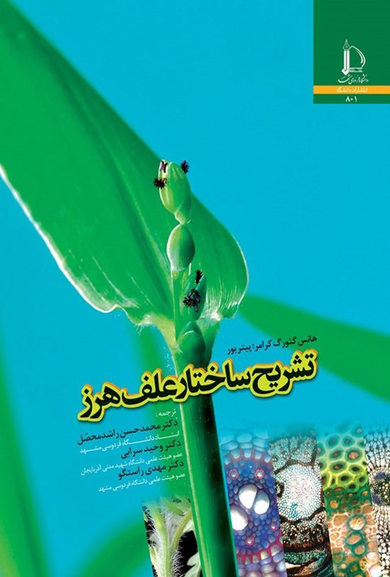 تصویر جلد کتاب تشریح ساختار علف هرز