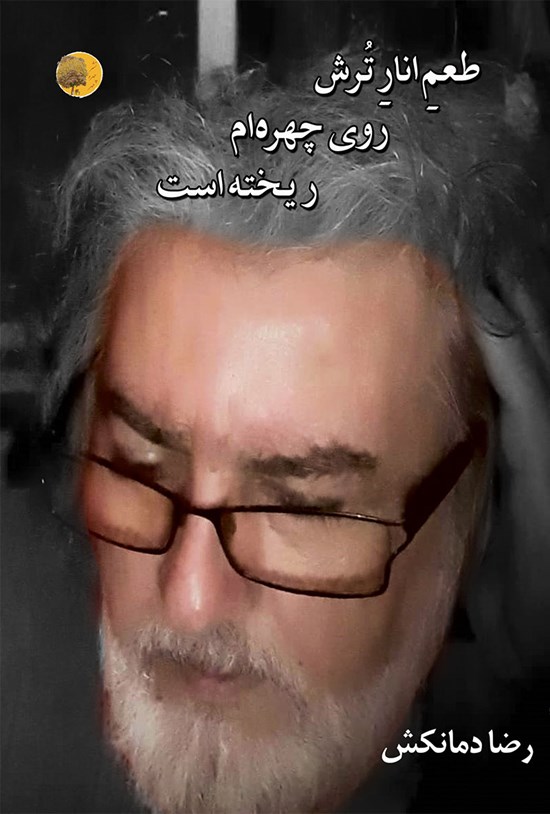 تصویر جلد کتاب طعم انار ترش روی چهره ام ریخته است