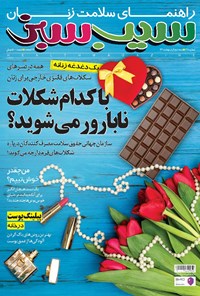 تصویر جلد کتاب دوهفتهنامه سیب سبز ـ شماره ۱۷۸ ـ نیمه دوم اردیبهشت ۹۶