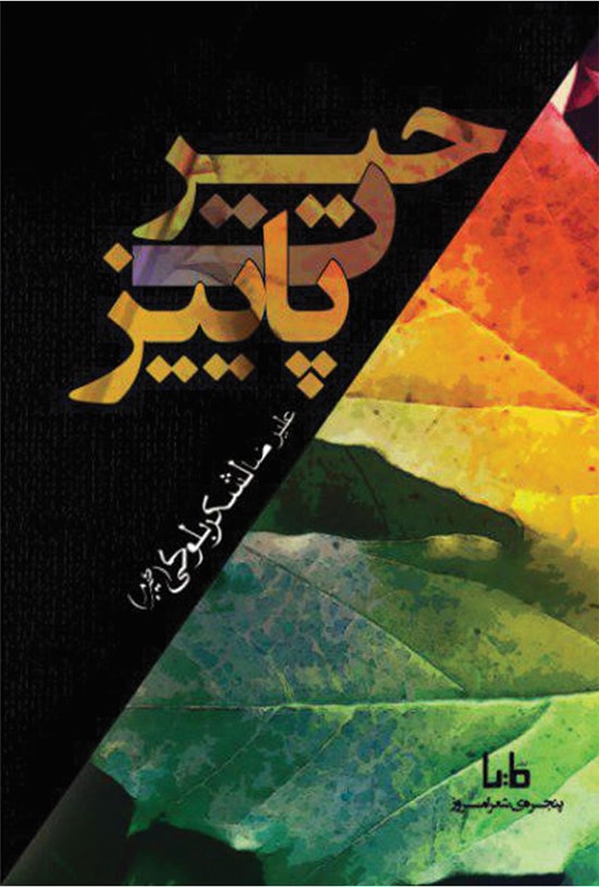 تصویر جلد کتاب حیرت پاییز