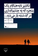 تکثیر نا به هنگام یک پنجره که به چشم اندازی در گذشته باز می شد... اثر سعید محسنی