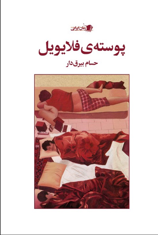 تصویر جلد کتاب پوسته فلایویل