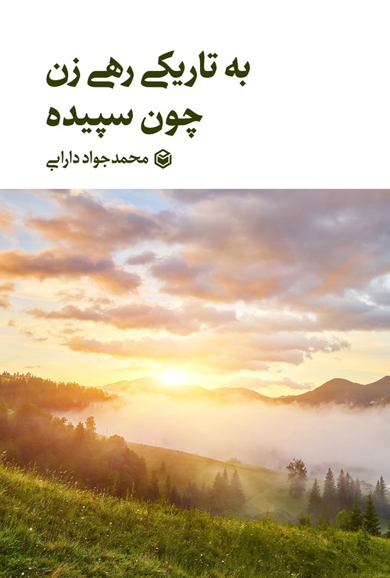 تصویر جلد کتاب به تاریکی رهی زن چون سپیده