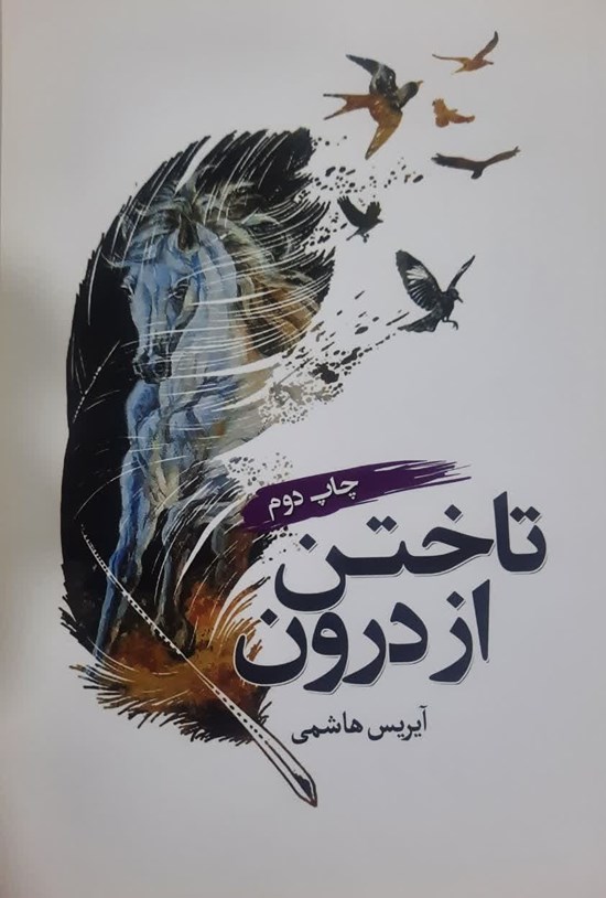 تصویر جلد کتاب تاختن از درون