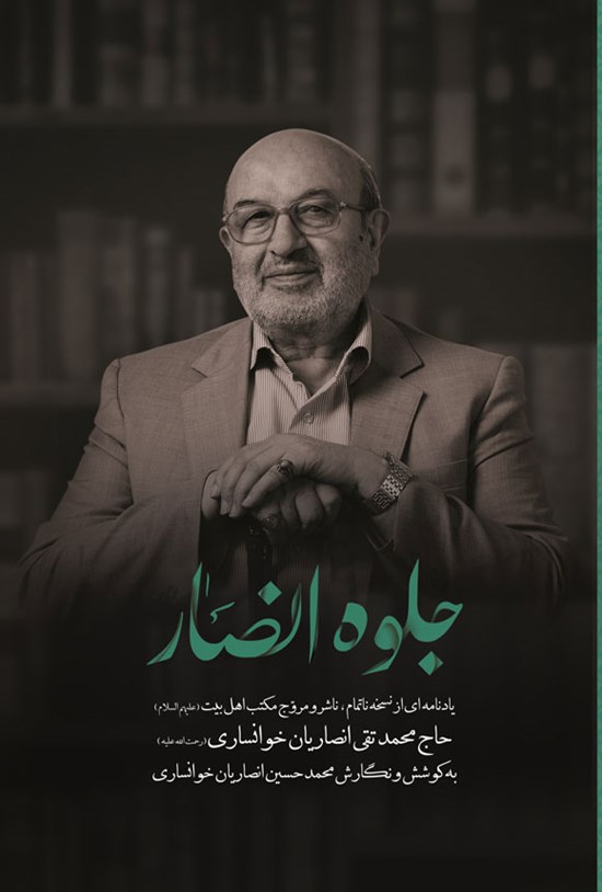 تصویر جلد کتاب جلوه انصار
