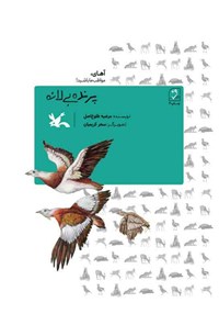 کتاب پرنده بی لانه اثر مرضیه طلوع اصل