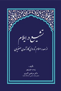 کتاب تشیع در ایلام از صدر اسلام تا روی کارآمدن صفویان اثر زینب عزیزپور