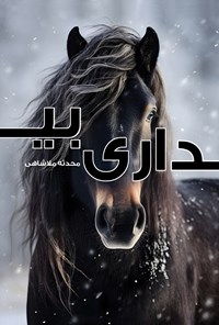 کتاب بیداری اثر محدثه ملاشاهی