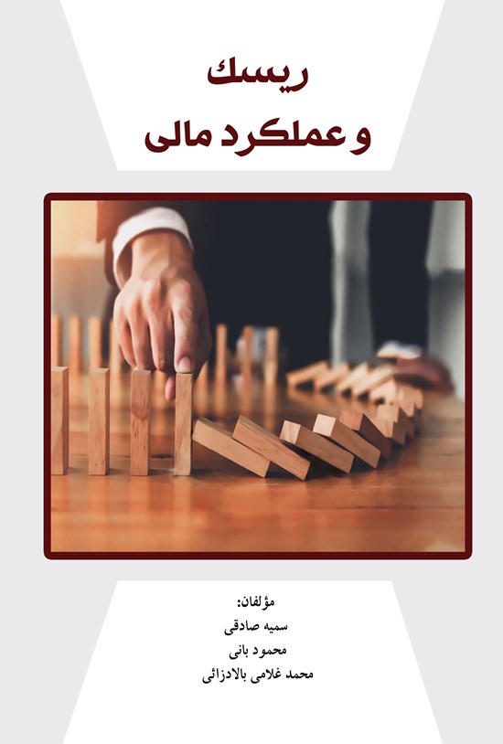 تصویر جلد کتاب ریسک و عملکرد مالی