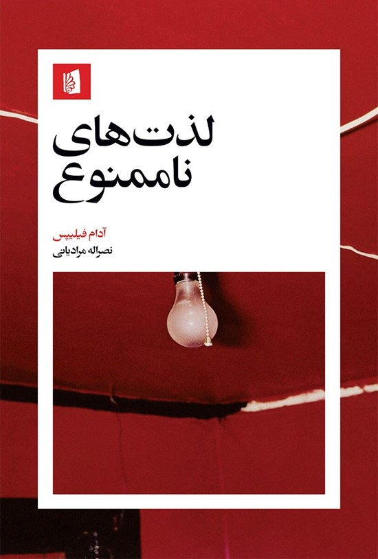 تصویر جلد کتاب لذت های ناممنوع
