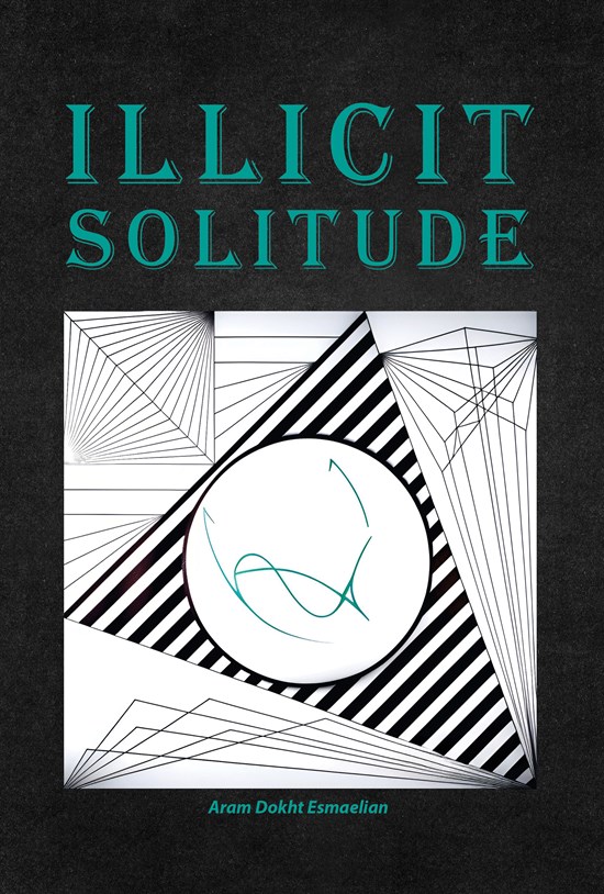 تصویر جلد کتاب Illicit Solitude