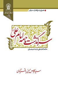 کتاب سرگذشت نامه امام علی (ع) اثر سیدعباس حسینی باقرآبادی