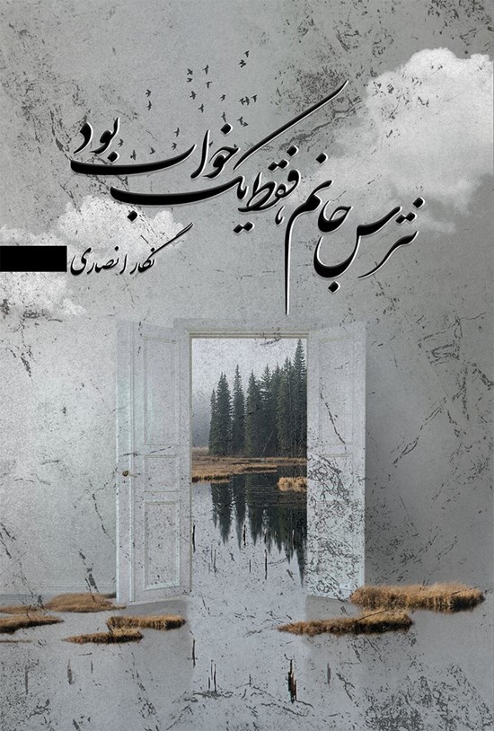 تصویر جلد کتاب نترس جانم، فقط یک خواب بود