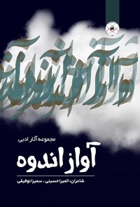 کتاب آواز اندوه اثر المیرا حسینی