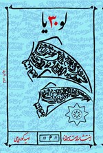 تصویر جلد کتاب لو۳۰یا