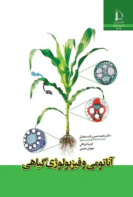 تصویر جلد کتاب آناتومی و فیزیولوژی گیاهی