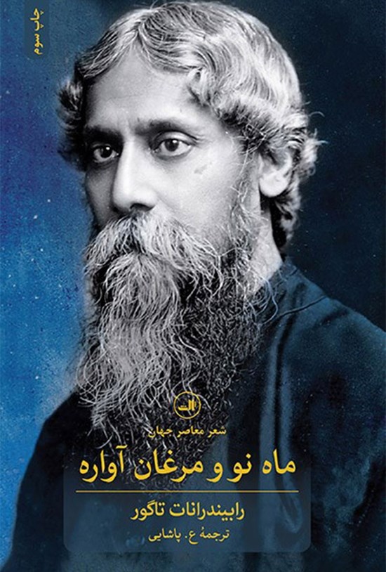 تصویر جلد کتاب ماه نو و مرغان آواره