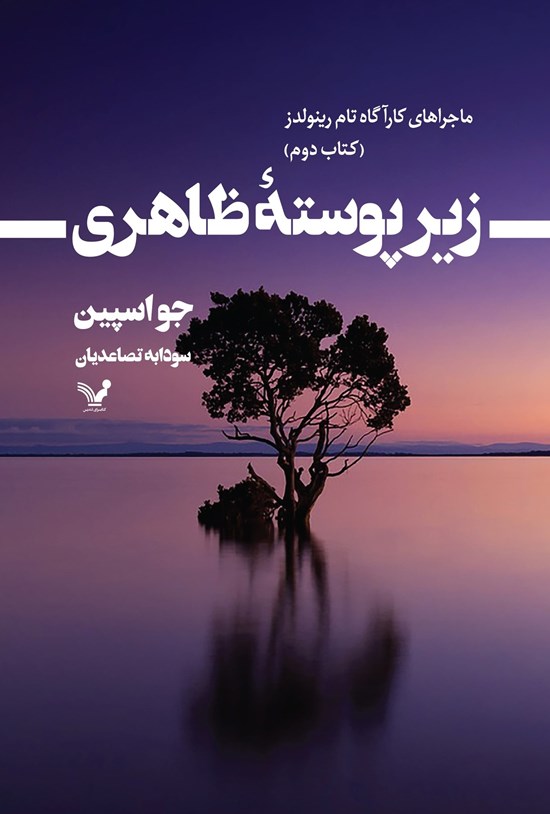 تصویر جلد کتاب زیر پوسته ظاهری