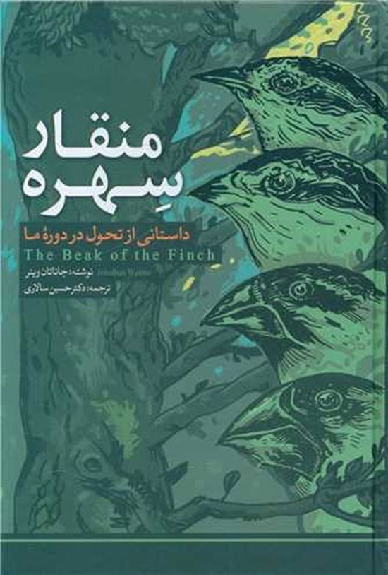 تصویر جلد کتاب منقار سهره