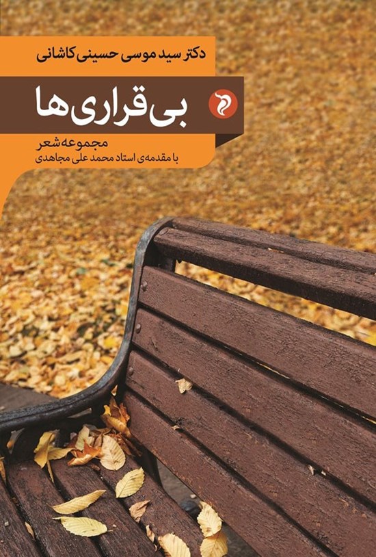 تصویر جلد کتاب بی قراری ها
