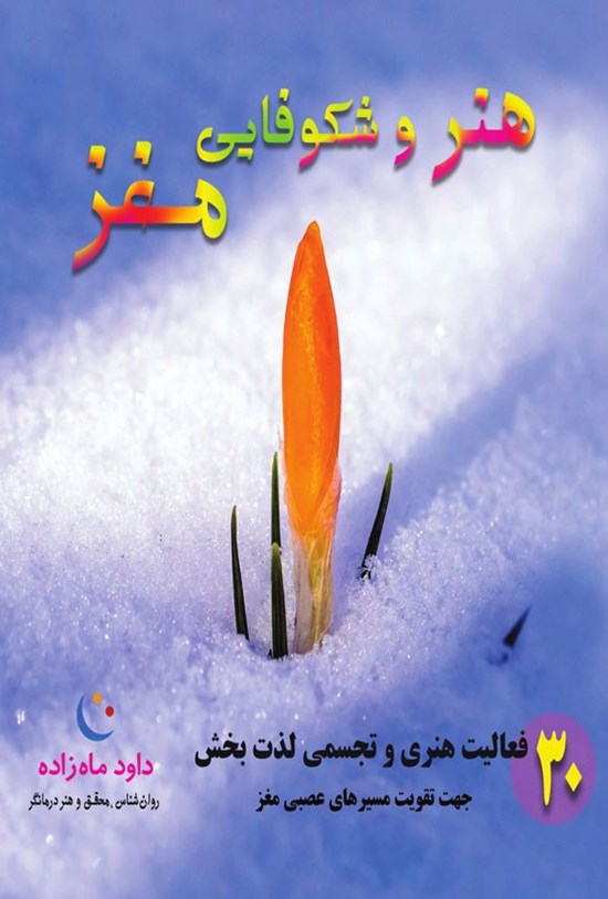 تصویر جلد کتاب هنر و شکوفایی مغز