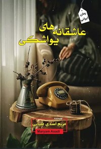 کتاب عاشقانه های یواشکی اثر مریم اسدی علیایی