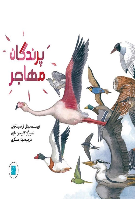 تصویر جلد کتاب پرندگان مهاجر