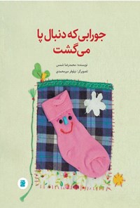 کتاب جورابی که دنبال پا می گشت اثر محمدرضا شمس
