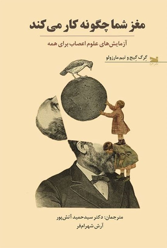 تصویر جلد کتاب مغز شما چگونه کار می کند