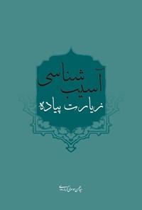 کتاب آسیب شناسی زیارت پیاده اثر سیدمحسن موسوی گرمارودی