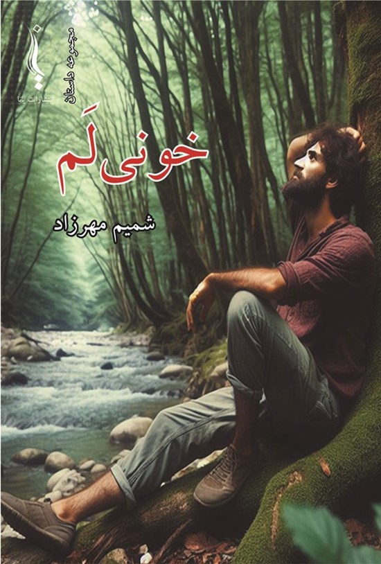 تصویر جلد کتاب خونی لم