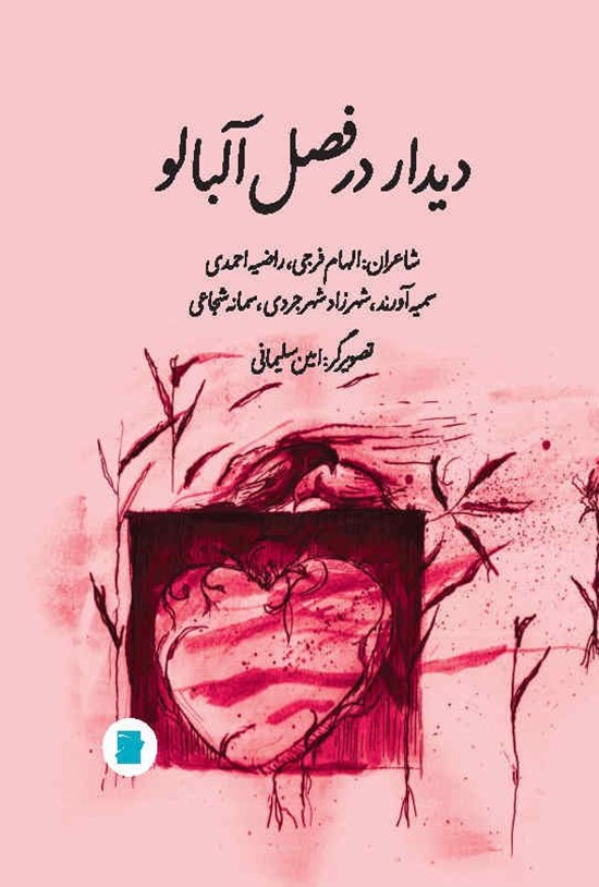 تصویر جلد کتاب دیدار در فصل آلبالو