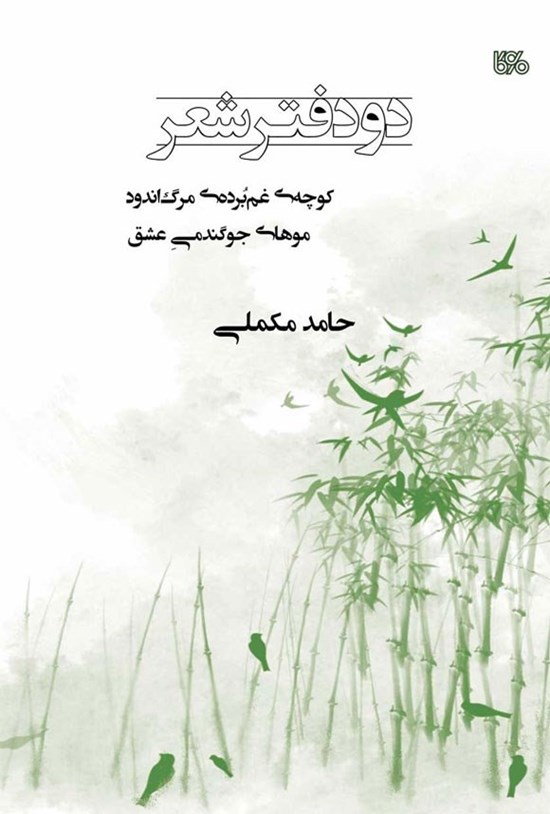 تصویر جلد کتاب دو دفتر شعر