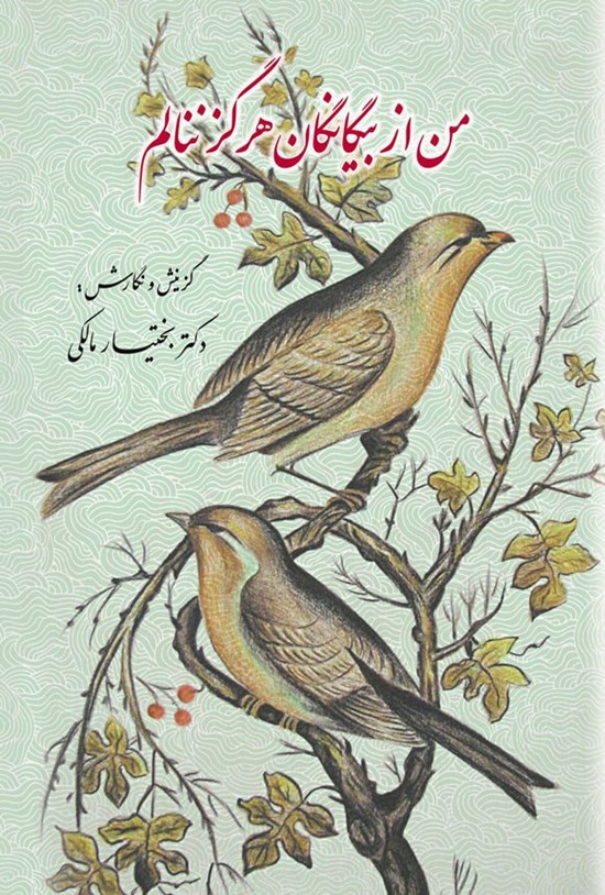 تصویر جلد کتاب من از بیگانگان هرگز ننالم