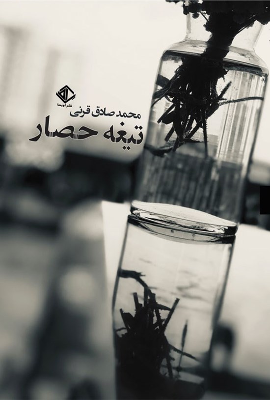 تصویر جلد کتاب تیغه حصار