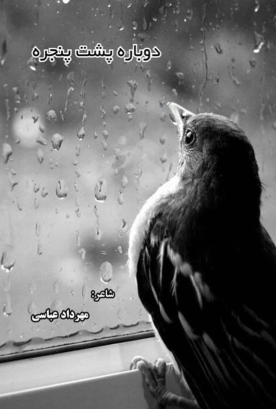 تصویر جلد کتاب دوباره پشت پنجره