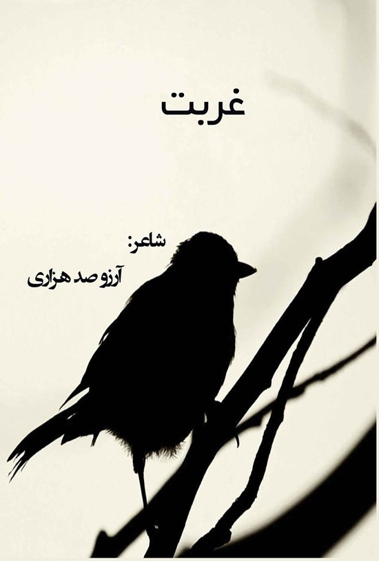 تصویر جلد کتاب غربت