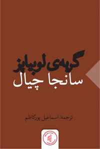 کتاب گربه‌ی لوبیا پز اثر اسماعیل پورکاظم