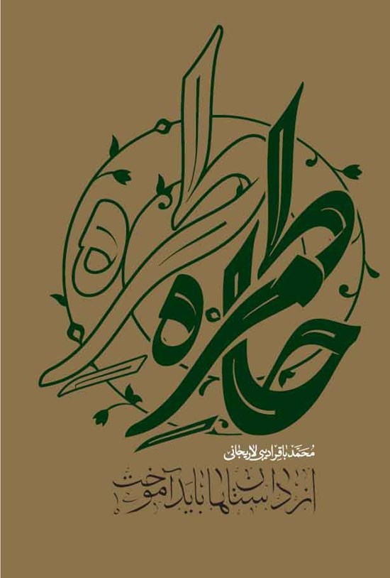 تصویر جلد کتاب از داستان ها باید آموخت