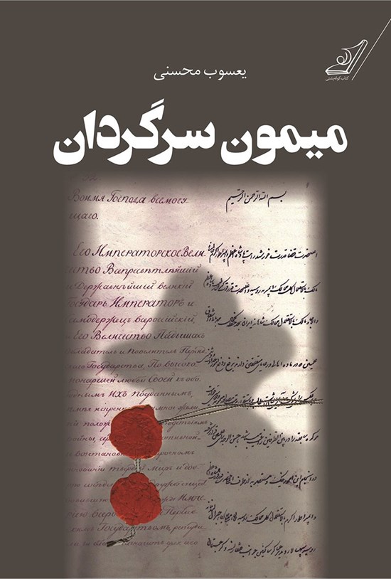 تصویر جلد کتاب میمون سرگردان