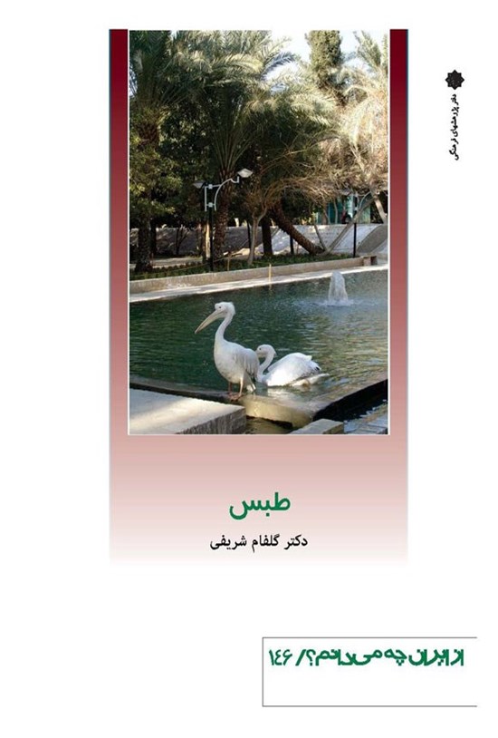 تصویر جلد کتاب طبس