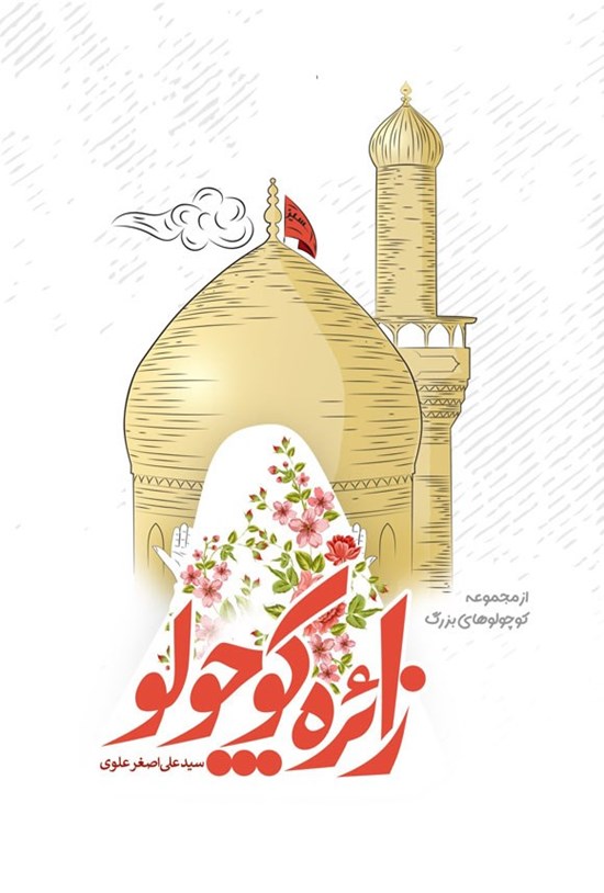 تصویر جلد کتاب زائره کوچولو