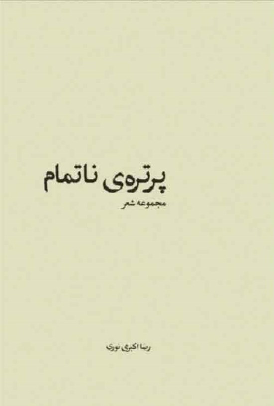 تصویر جلد کتاب پرتره ناتمام
