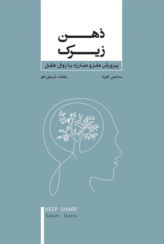 تصویر جلد کتاب ذهن زیرک