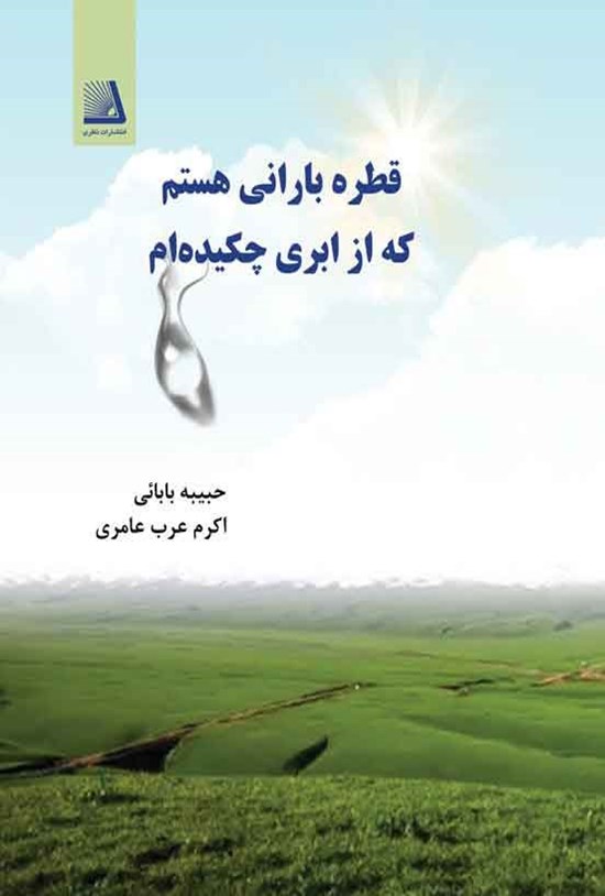 تصویر جلد کتاب قطره بارانی هستم که از ابری چکیده ام