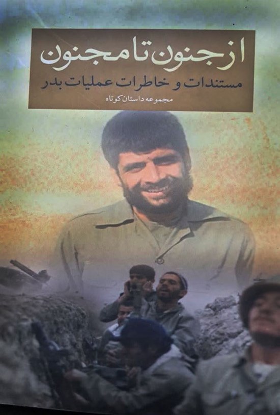 تصویر جلد کتاب از جنون تا مجنون